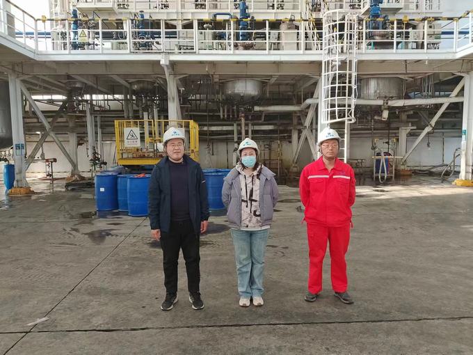 山东德仕化工有限公司安全现状评价报告
